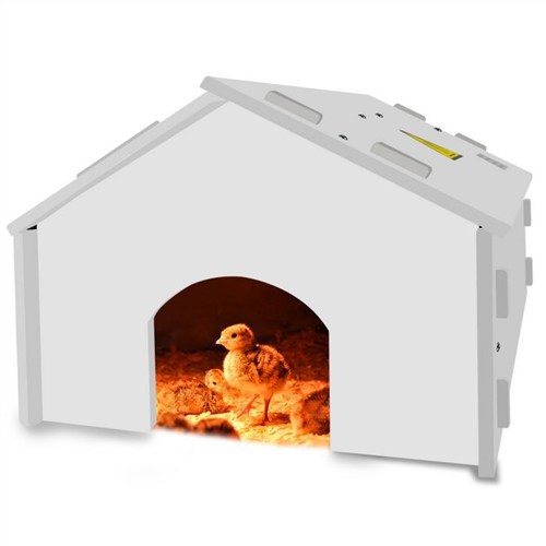 ลูกไก่อุ่น